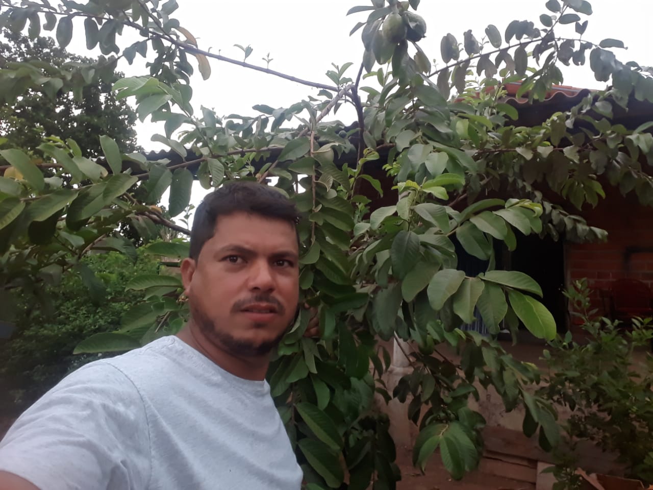 WhatsApp Image 2020-12-02 at 15.03.42.jpeg